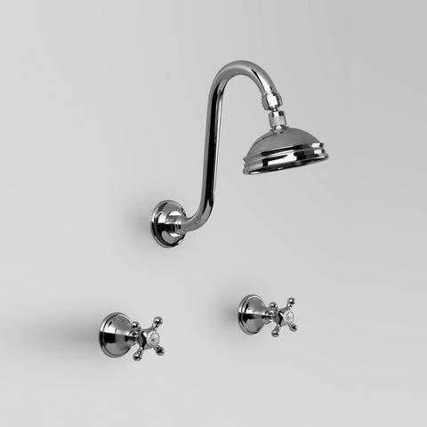 Classic Edwardian Shower Set with 100mm ball joint rose
