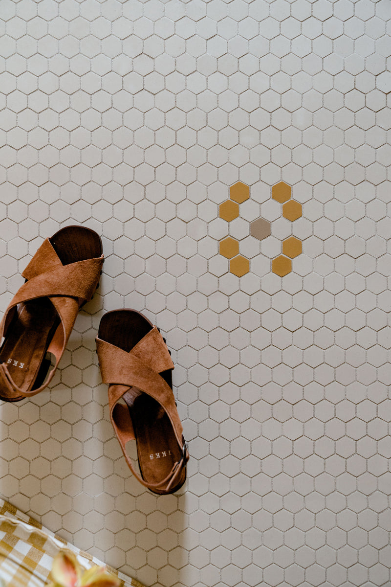 French Chic Living Room mosaic floor tiles