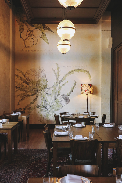 A really cool alt tag