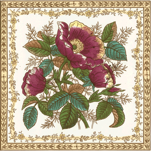 Victorian & Federation Wall Tiles Square -  English Rose