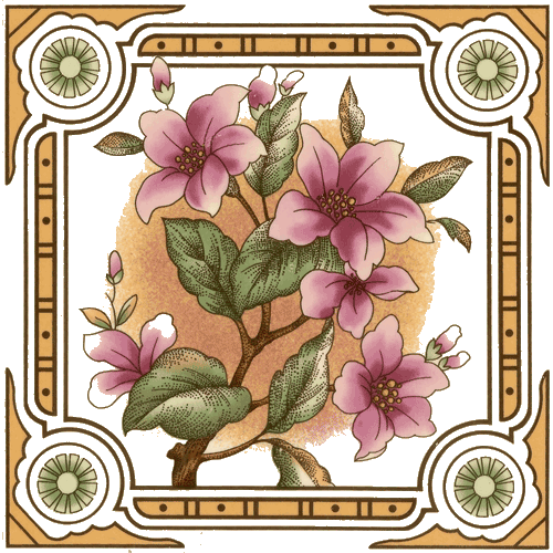 Victorian & Federation Wall Tiles - Windflower