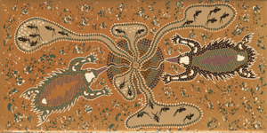 Echidnas feeding