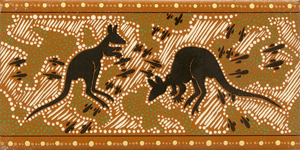 Kangaroos