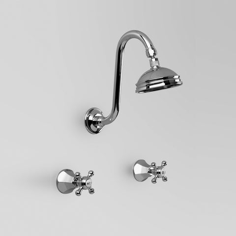 Classic Shower Set 100mm ball joint rose