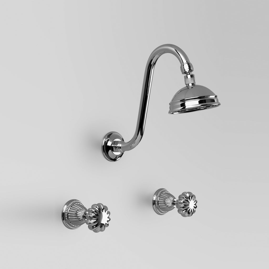  - Classic Swan Shower Set 100mm ball joint rose