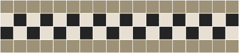 Checkerboard 50 Light Grey Black and White Border