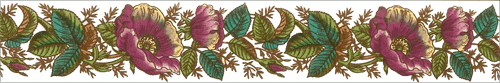  - English Rose Strip