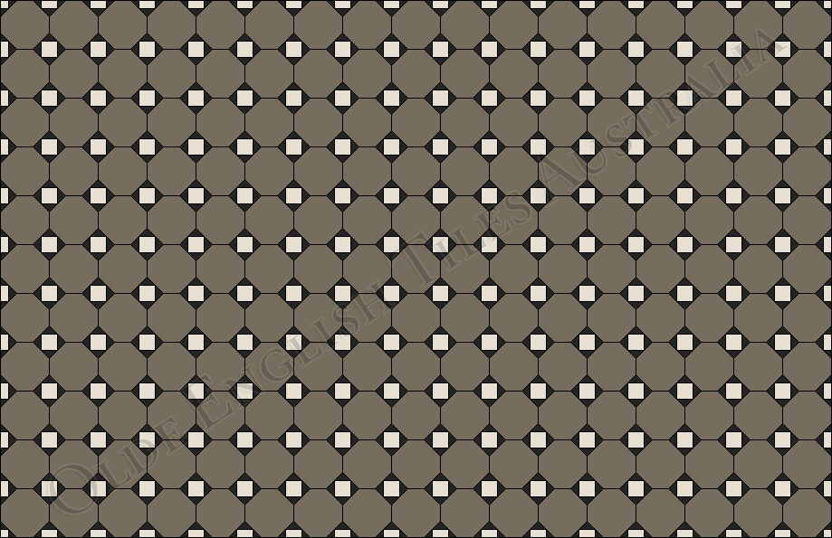Tessellated Tiles -  Raglan
