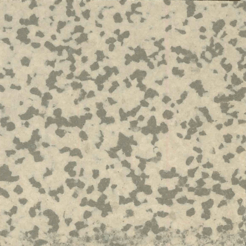  - Speckled 501