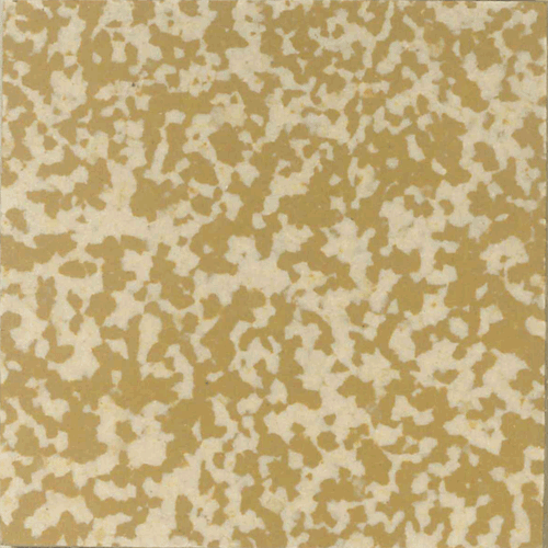  - Speckled 502