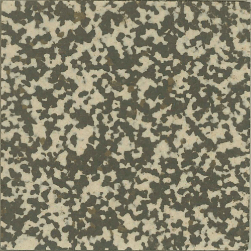  - Speckled 505