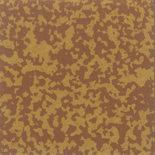  - Speckled 506