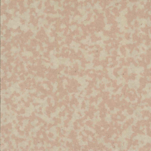  - Speckled 507