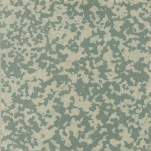  - Speckled 509