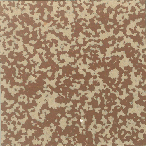  - Speckled 510