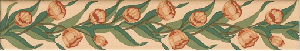  - Tulip Strip